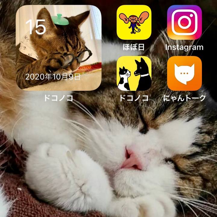 4e04b813 de74 46e2 b248 29465d9b158e 1634345611763