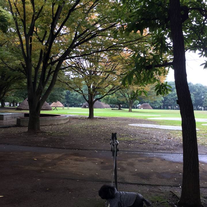 4e04e1ef b498 494c bc36 f71c9447972c 1508893393127