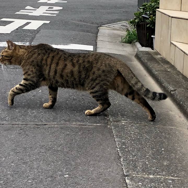 4e04fff9 41c2 4e86 a697 ab5bef09cc5d 1536653369044