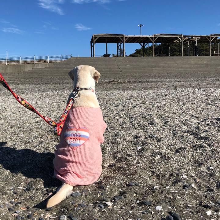 4e050482 b195 4f14 ade9 c4130b9828d2 1578285323012