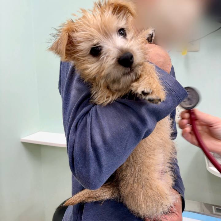 4e055155 77d7 49d6 900e 5e0e36a810d0 1702548079039