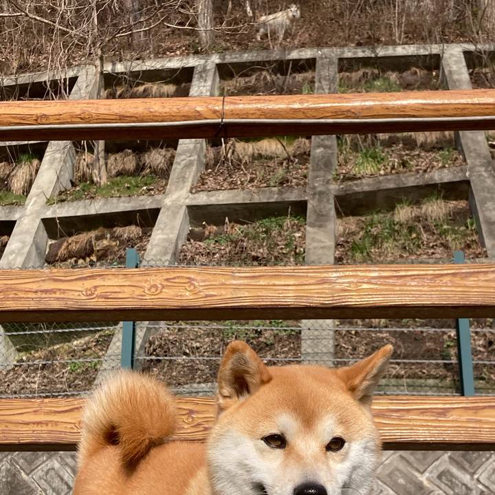 4e058ac8 5632 4385 a2a4 bd95f1c42bce 1649649677039