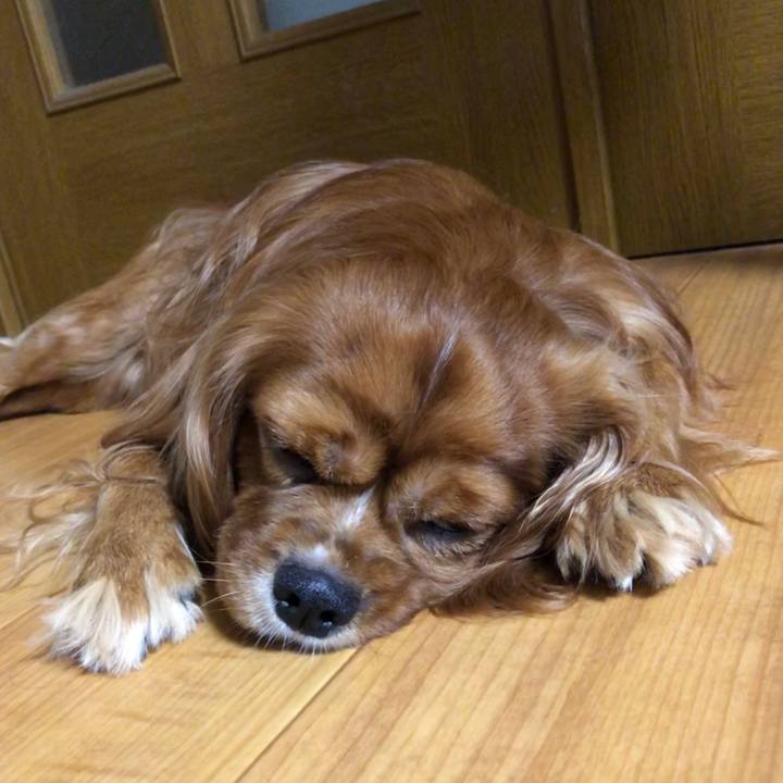 4e05a846 0ec0 4ea2 a3b3 9460b1ece1e2 1594420941342