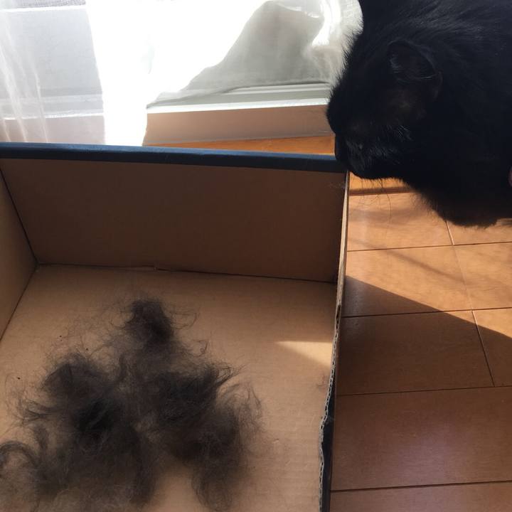 4e05fd8f 59e7 4b83 b53b 9ecb14da2f85 1551261764153