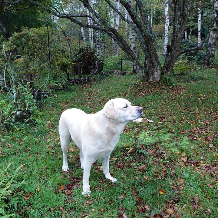 4e060878 5a35 4cdf a021 24ba2ae57fc5 1632740146205