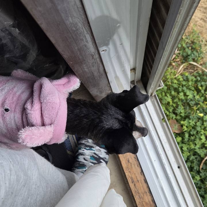 4e06232f 26c5 4ffb 9350 106c92ab6515 1774221714240