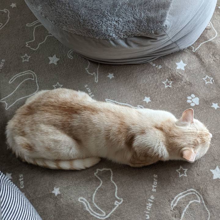 4e06448a b356 4ae7 8264 af4cb4cc8534 1699314186999