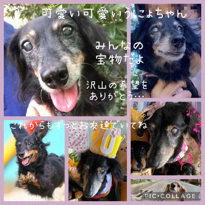 4e0678c5 1d4f 4759 af48 068dd0a54ec3 1679030740338