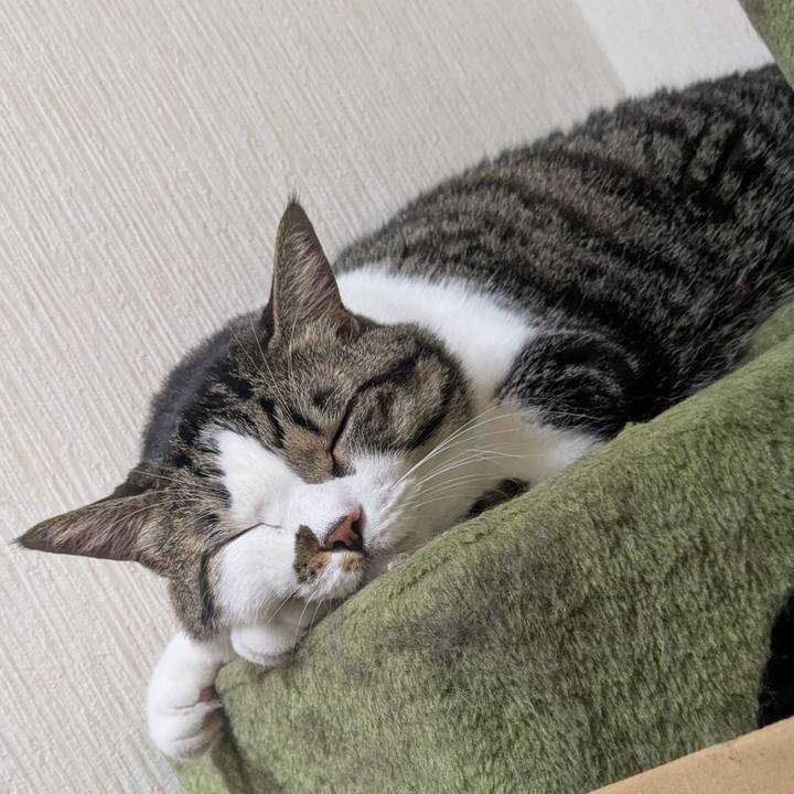 4e0685b1 1836 4585 9cd4 ef8d7a441098 1756343880482