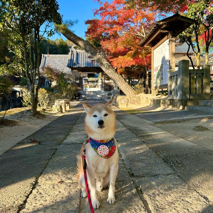 4e06f168 ca22 4622 b1ee 8bbd7334890d 1732531385806