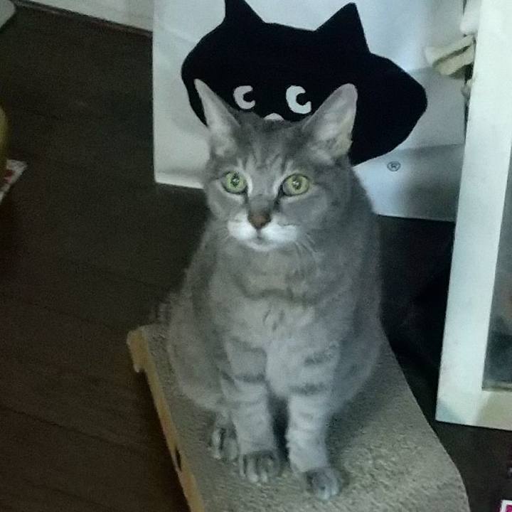 4e07143e 6757 46cd b1f1 e40aa4aae0cd 1718192694556