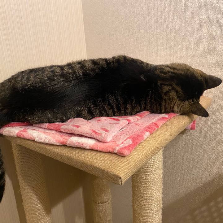 4e0714ee 7dba 43ea bbfd a42eb3786d51 1708344161007