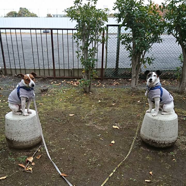 4e072561 8faf 4024 a865 cf6d3d266de5 1575698144771