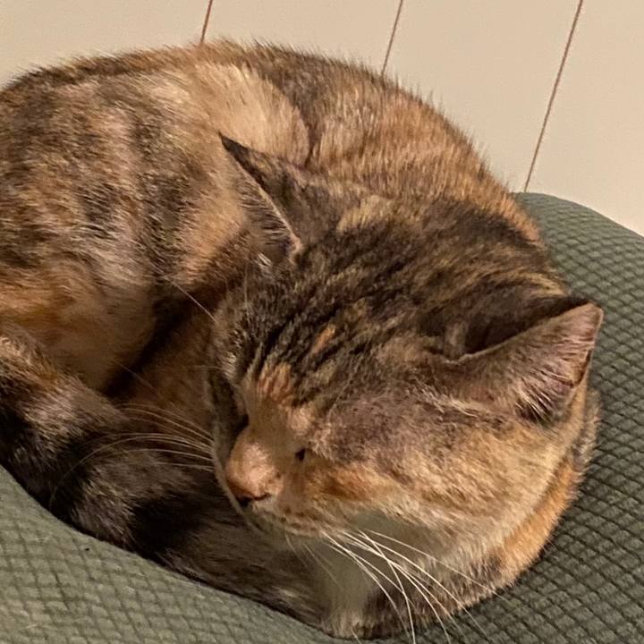 4e074d6c 8ffe 4e9f 8746 78f27a79e8d9 1578534175556