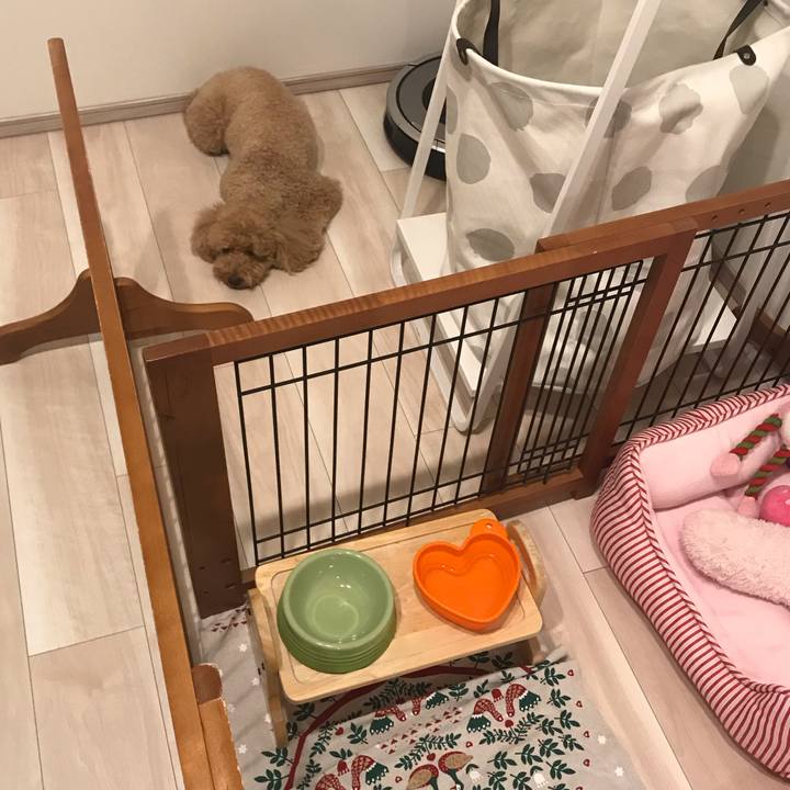 4e07bbd2 d759 4969 8d0a 7892da05635a 1559130275035