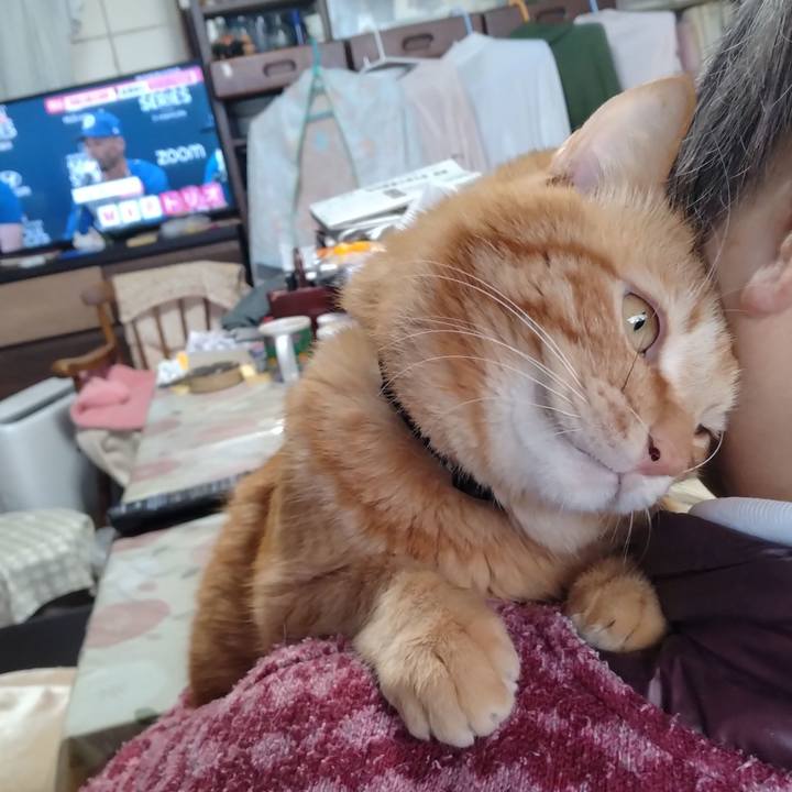 4e07f9d7 f4f7 4de6 a4cf 25089aed1e45 1710813696957