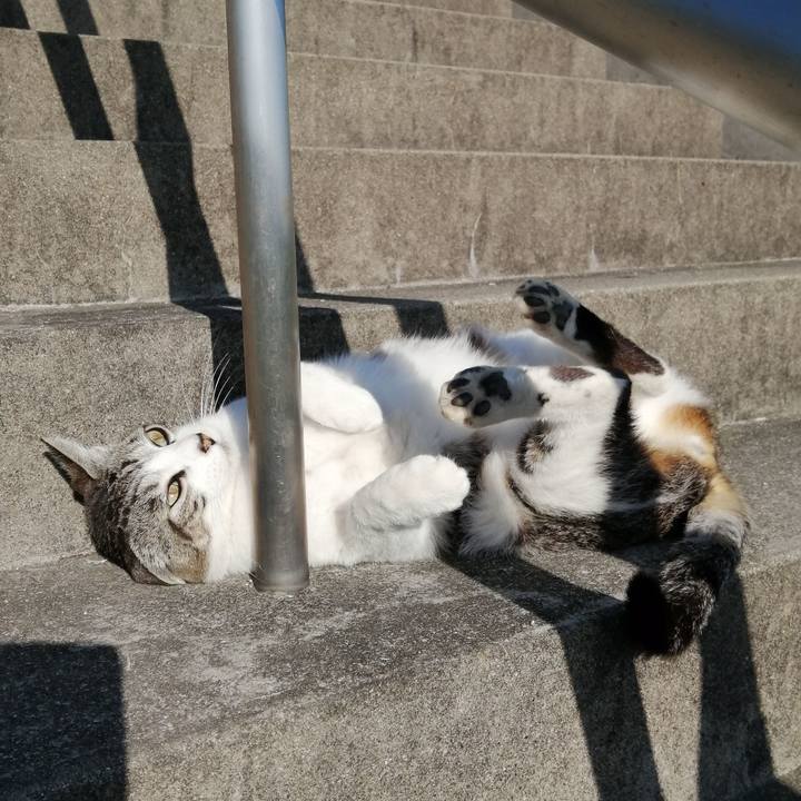 4e0801f7 6834 4ee2 b114 43ab4f8fc3fc 1588817506211