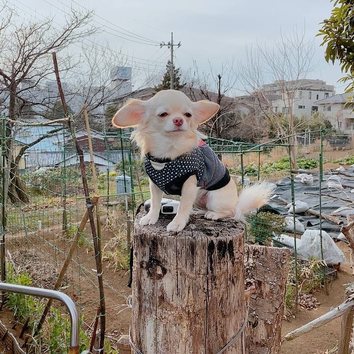 4e082489 d6b4 4512 8f4c 8e4217ff139c 1613120620922