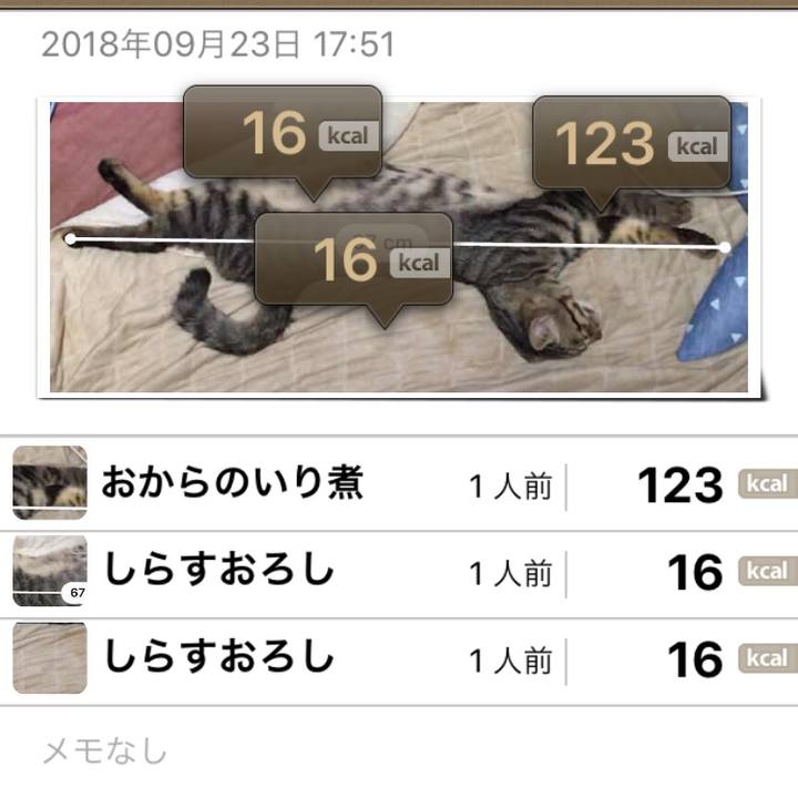 4e086e18 0b7e 4211 ba2b de1dd52264a1 1537705322654