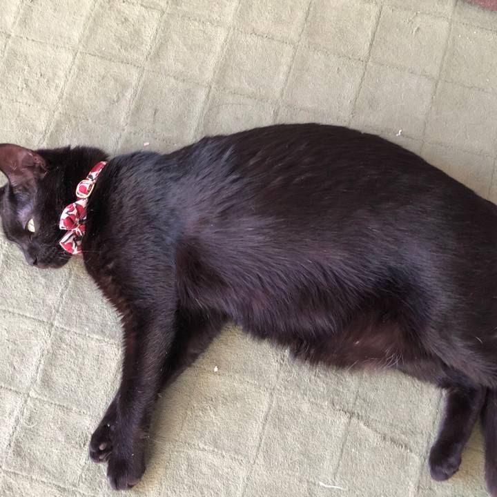 4e0879b0 f3f4 4fbe 8976 6abd7e0d1c1e 1580516298496