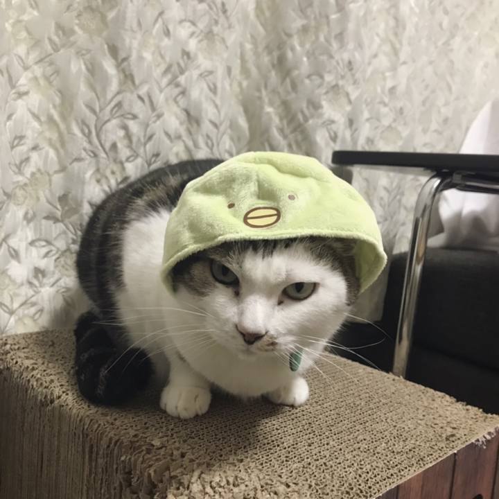 4e08e809 7d88 44c0 828f 3b19cbf45a7d 1551847264420