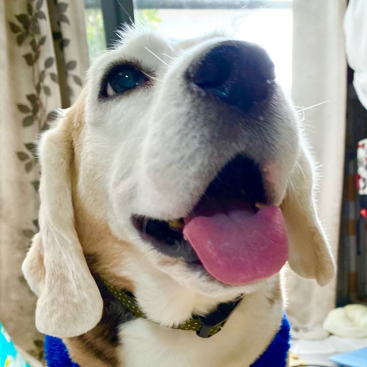 4e091a90 3330 4d26 bf1d 3f587fba9e6e 1643255416196