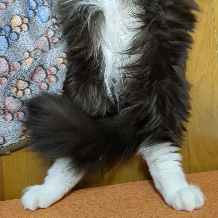 4e0928c9 1840 43b9 9217 3b6102a7e21e 1680086017199