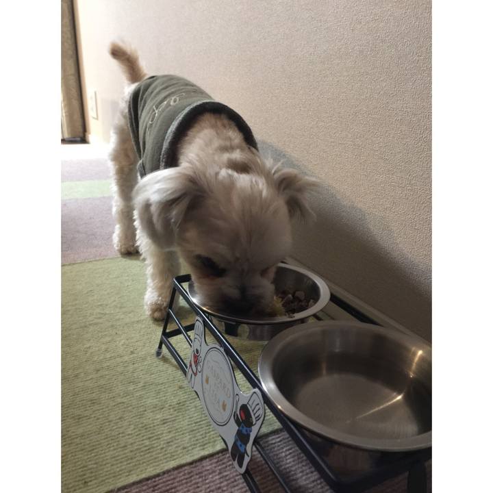 4e094dc5 79ee 4a85 b0a8 26eba6cdb4ad 1521458100223