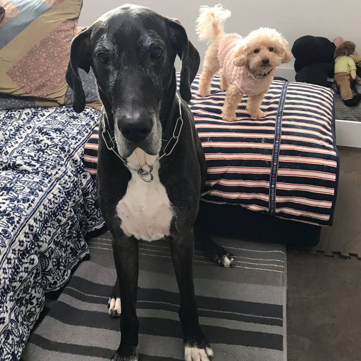 4e098419 009a 49c7 ba4c 50fef994b30e 1543530787707