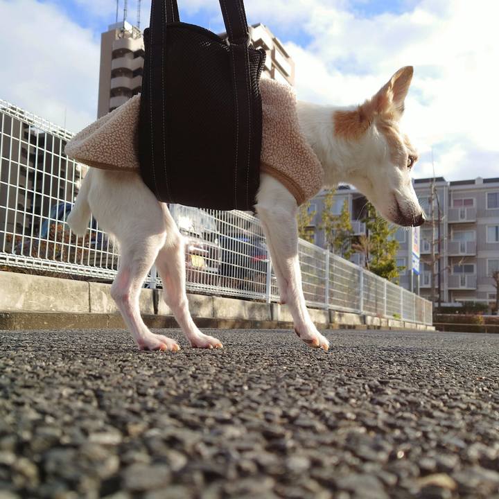 4e09af31 8bab 4d02 ab57 6e2725168dea 1767782319935