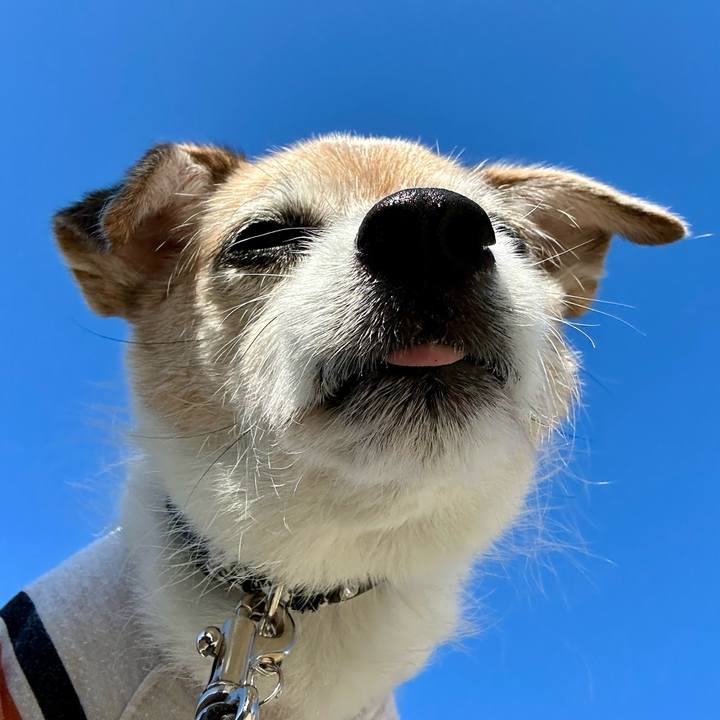 4e09c211 737c 44c0 b95b 9349a6dda58e 1668559889119