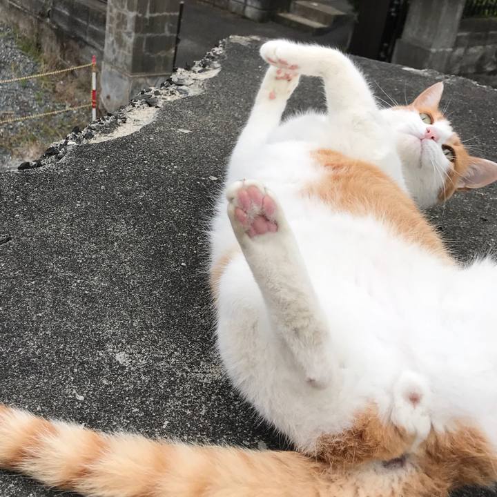 4e09dfe8 09ed 4f01 926e 3fb987a74975 1528196123234