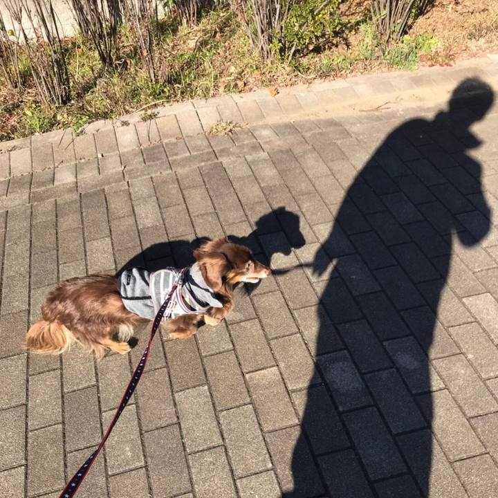 4e09ec0d 45c3 4be2 a412 cfbb0e8f078e 1546148370150