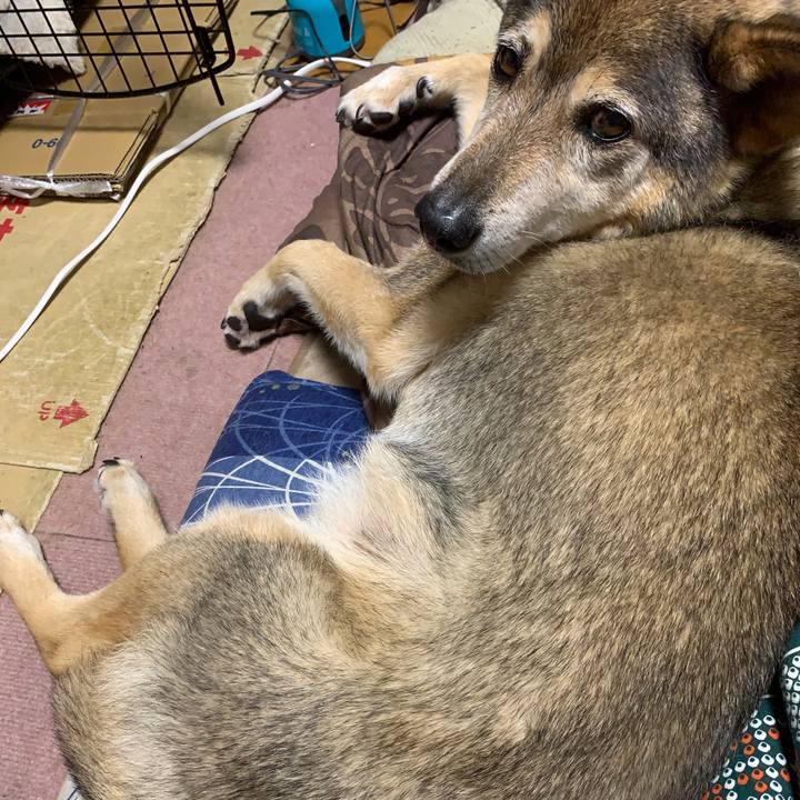 4e0a0606 4624 4b55 9a81 6b800e51ad43 1560633234947