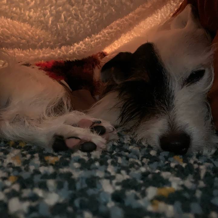 4e0a09dc 0c68 44cc 9c91 8ac6824df52a 1575682046255