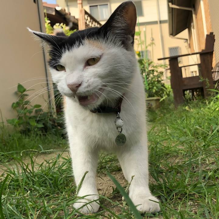 4e0a1d10 9203 4982 b5cc 56947ea58bf4 1626388656320