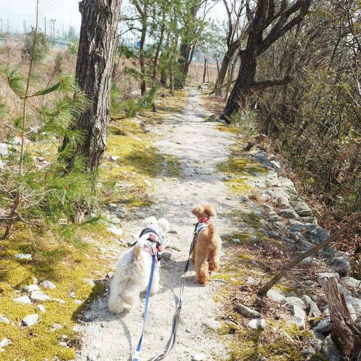 4e0a3ab1 af0b 4776 b54b 9d1e9193e1f8 1521347034610