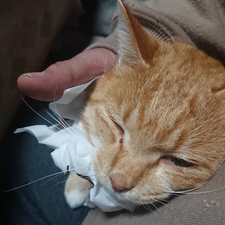 4e0a75b1 5451 4a5a 897d d1b2727478c2 1575578813333