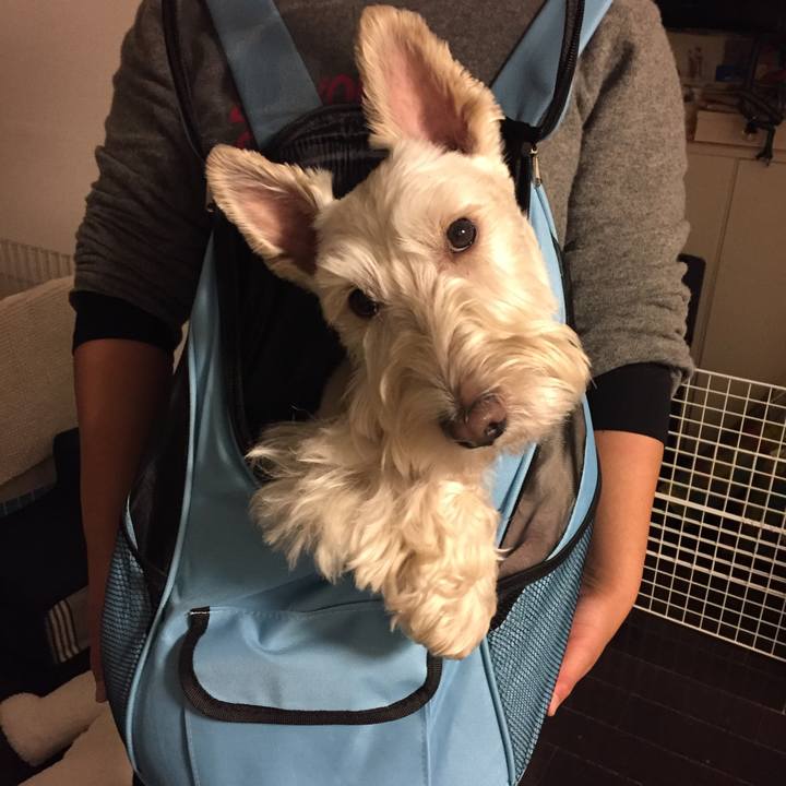 4e0ad690 5847 4b61 8325 359874d06e41 1509108953296