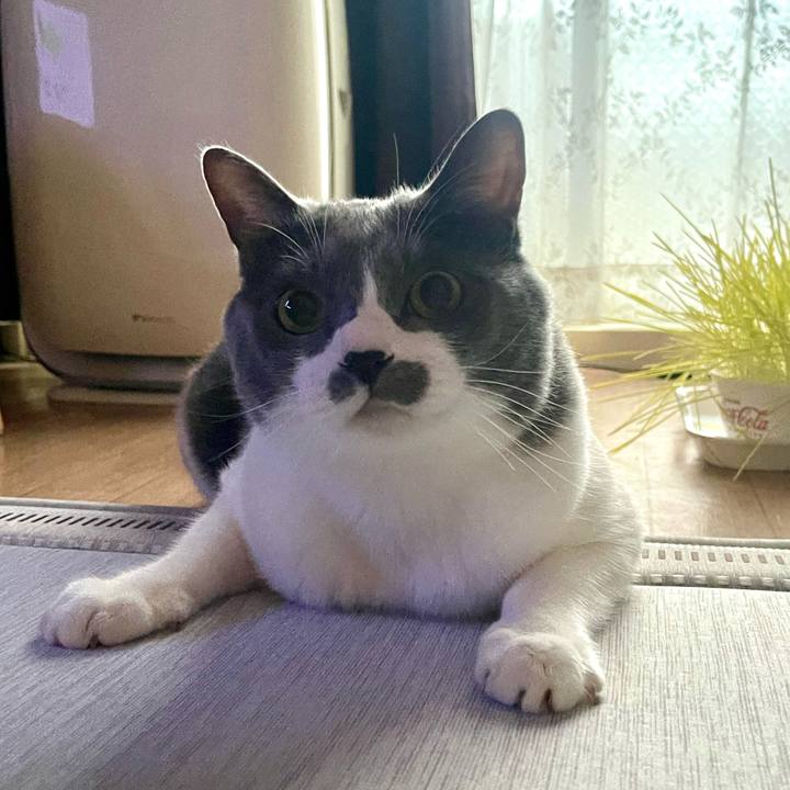 4e0b078d 9956 400a b66e a386cf4616c0 1757925762763