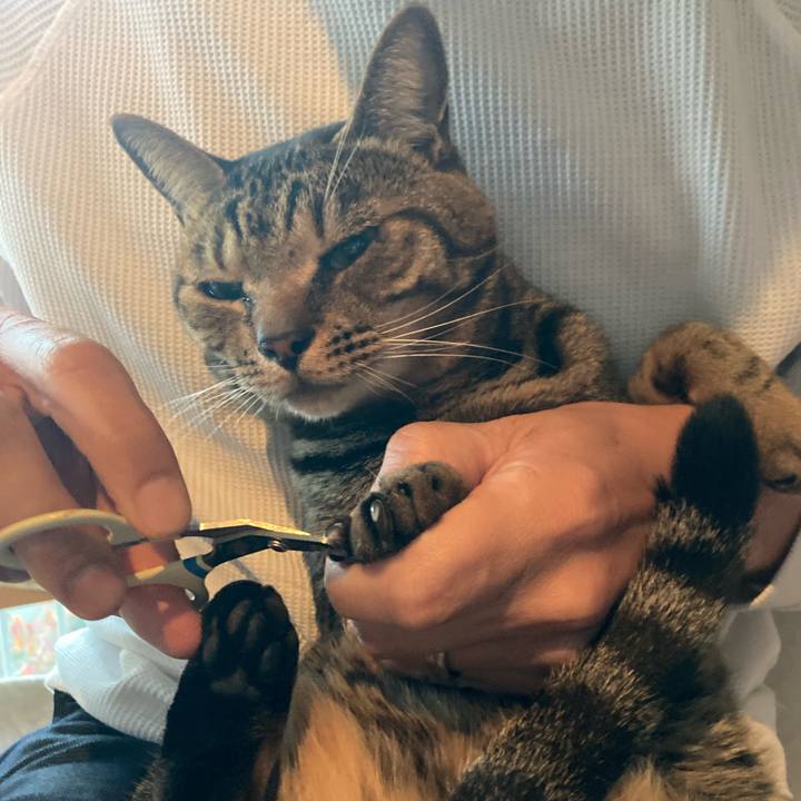 4e0b10a2 c517 40e8 ae40 f14ac9857769 1766979972661