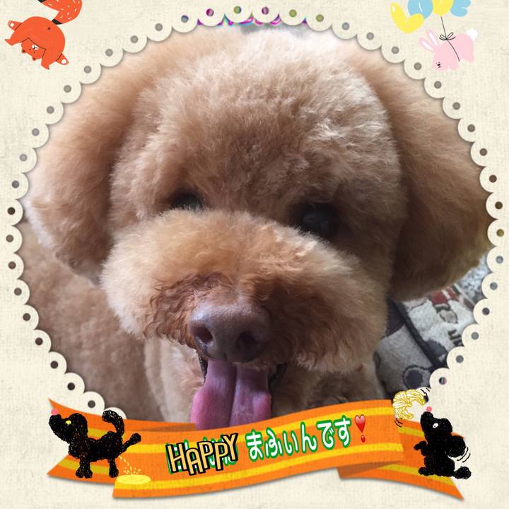 4e0b5eeb 674e 4f79 b836 dc59a508bfb8 1528109760087