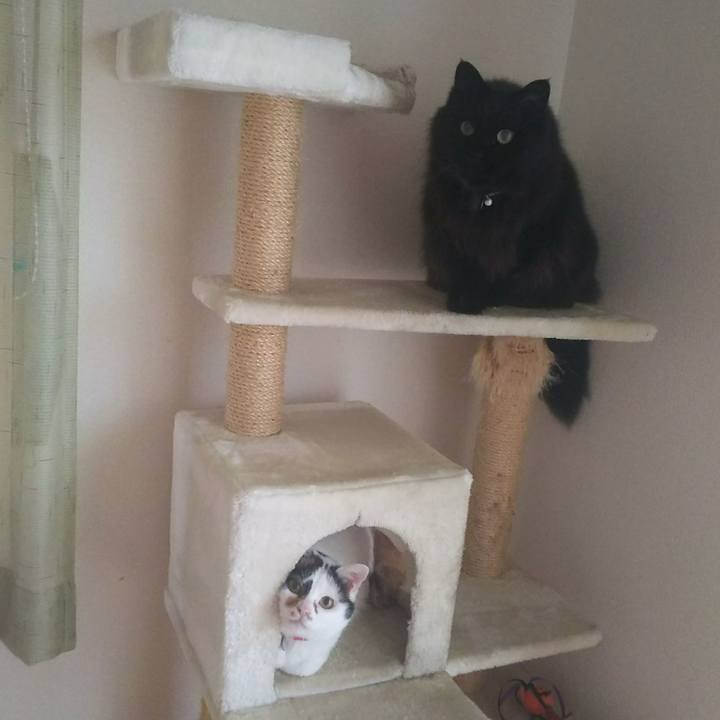 4e0b870f bb8b 42ab a837 0915804c7c48 1530064455064