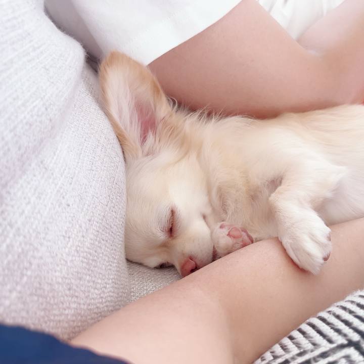 4e0ba273 96fd 4678 84c2 eeffe7c3f95e 1693131802232