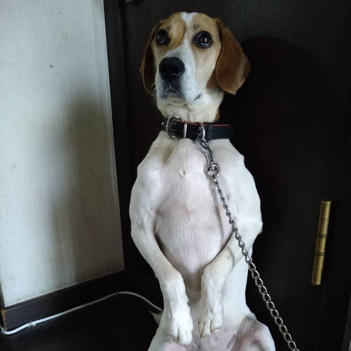 4e0bfa17 db85 473a ab75 e12495f2f8ba 1655960875406