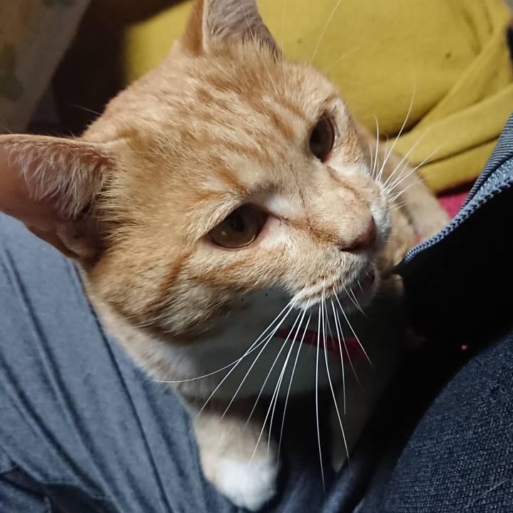 4e0c288f e7a4 4202 92dc 7a6148ed52b0 1573263887424