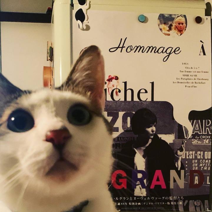 4e0c7067 626b 46de b951 89ad46adb0b0 1624801395122