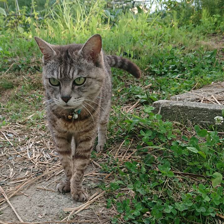 4e0cad3f c48d 4c0f 8b70 3b08ff9ff8ce 1563353527089