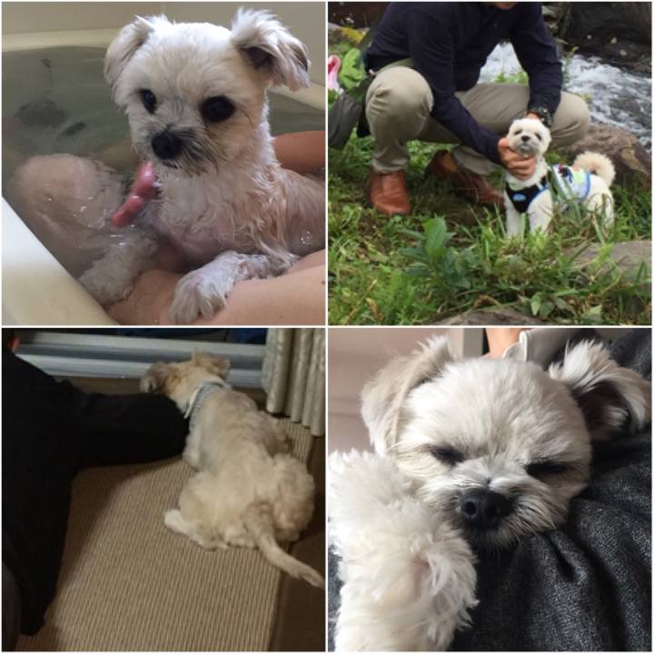 4e0cf870 6b3c 496a 84a0 ac93c9f1ed84 1524054166951