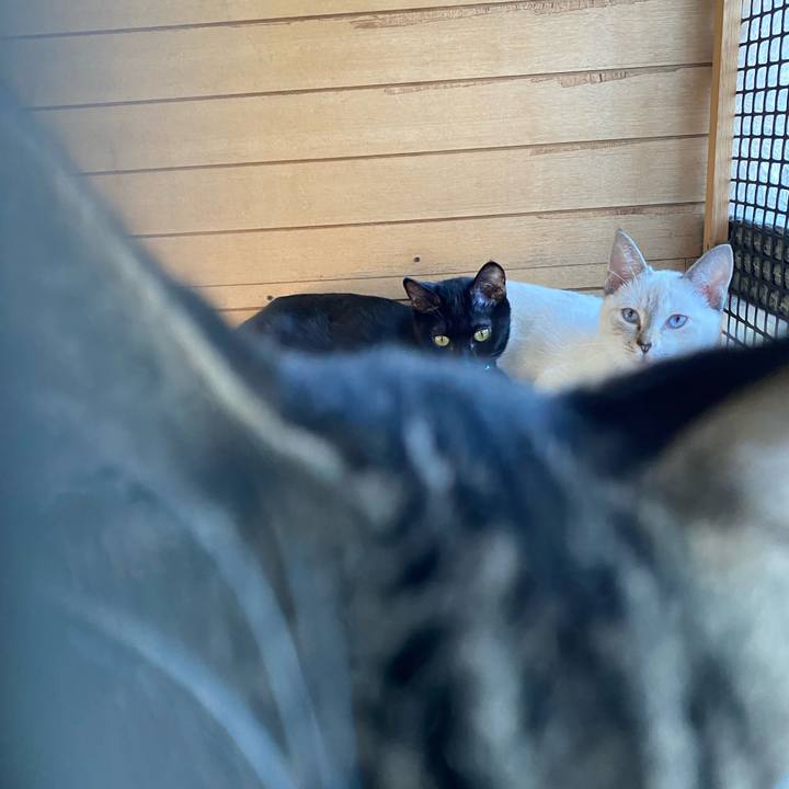 4e0d6204 cfff 49b7 9281 5cb70634df54 1633825486898